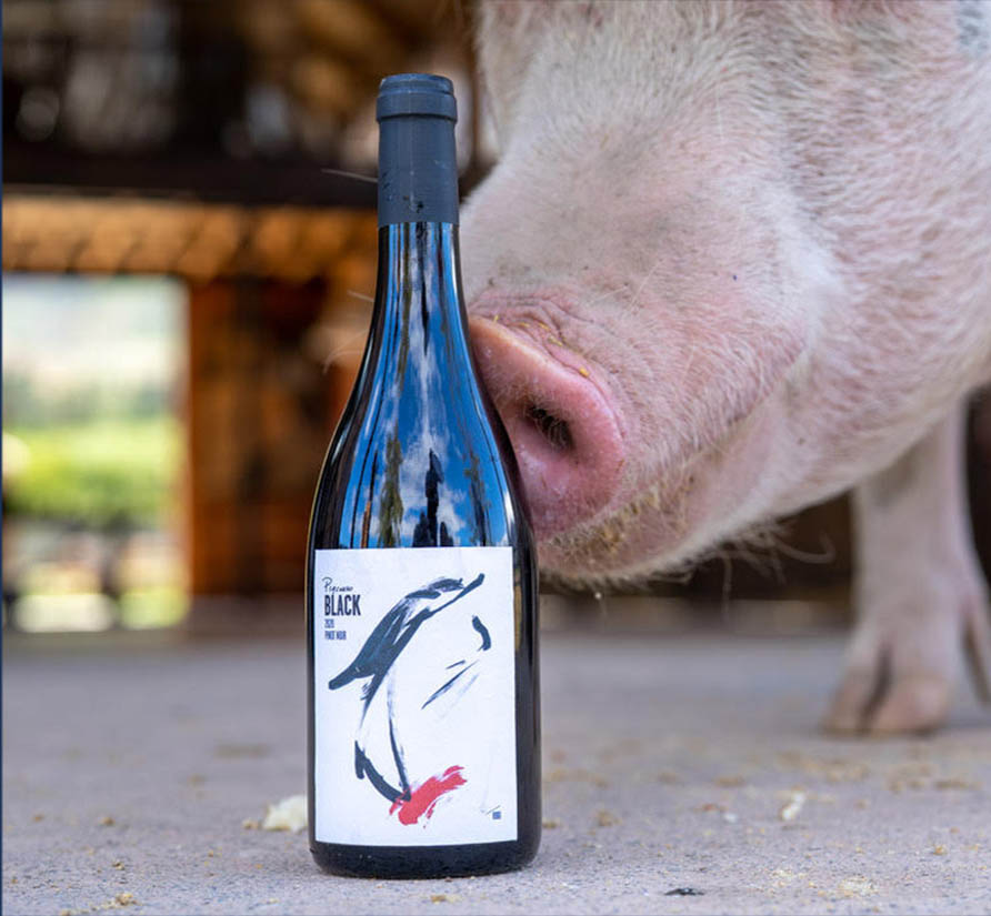 Pigcasso Wine eat Farm Sanctuary